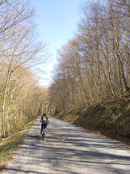 Descent from Dolenja vas to Raša river
