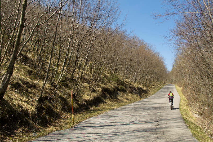 Ascent towards Vipavska Brda hills