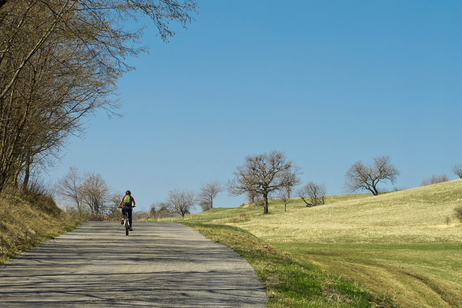 Ascent towards Vipavska Brda hills
