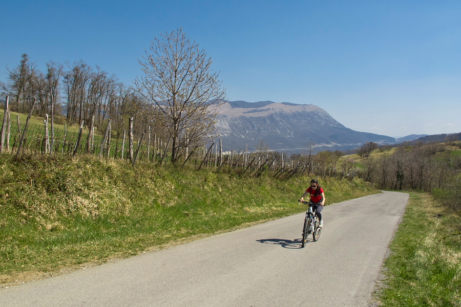 Panoramic Vipavska Brda hills