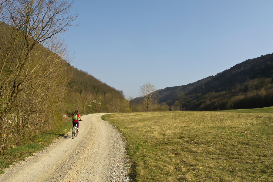 Lonely road in the river Raša valley