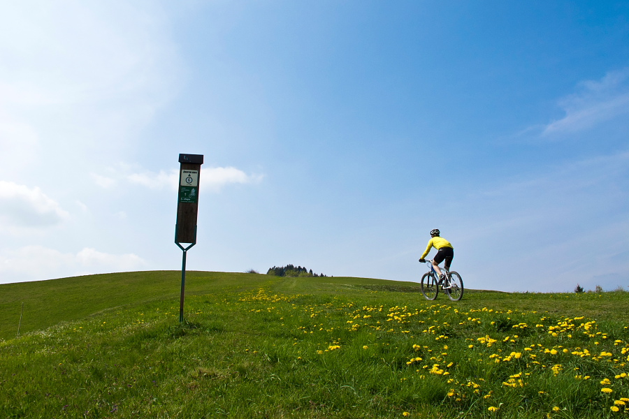 Below Mrzli Vrh summit
