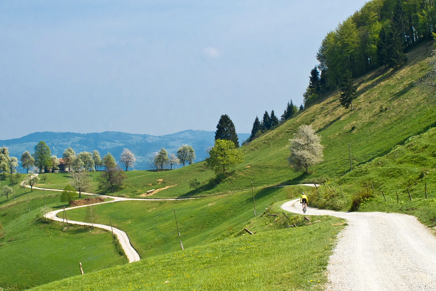 Descent from Mrzli Vrh toward Selo village