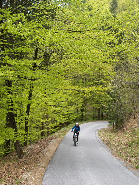 Uphill from Selo toward Zabrežnik