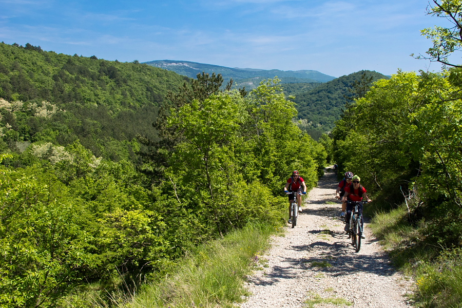 Towards Kubed village