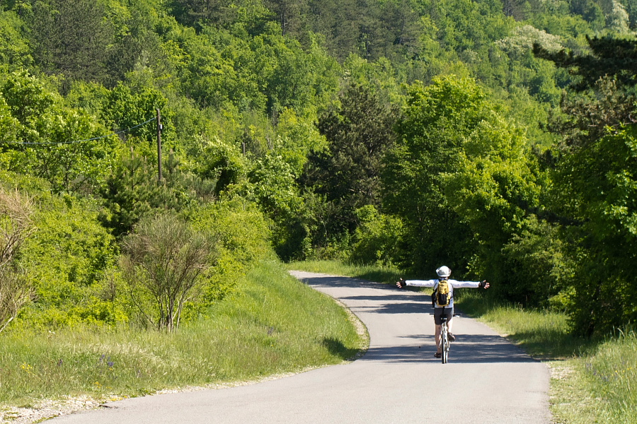 Towards Movraž village