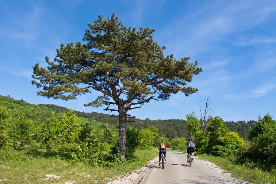 There is almost no traffic