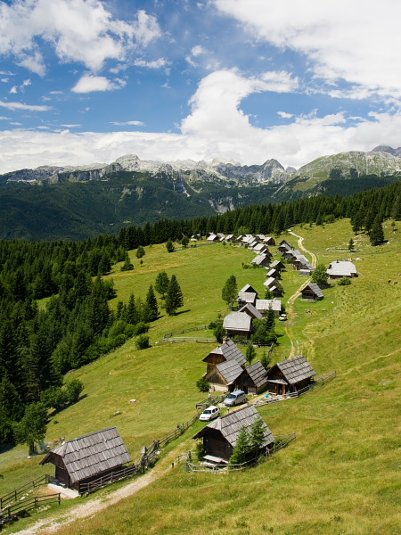 Zajamniki alpine meadow