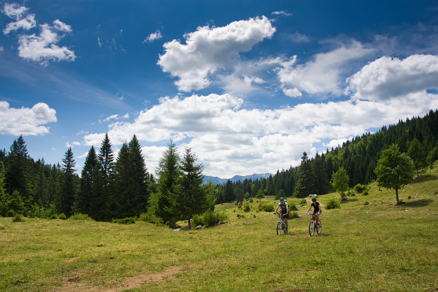 Crossing the meadows