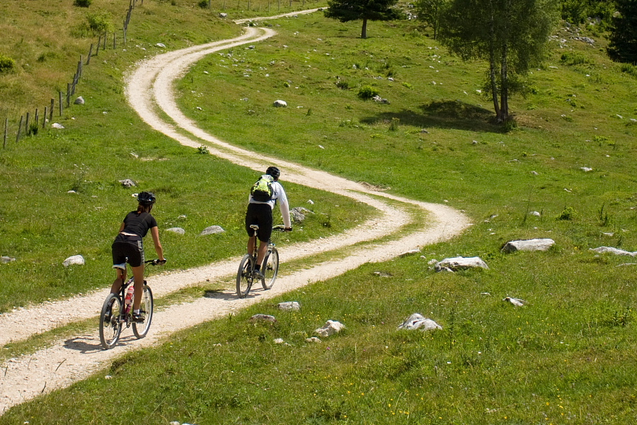 Praprotnica alpine meadow
