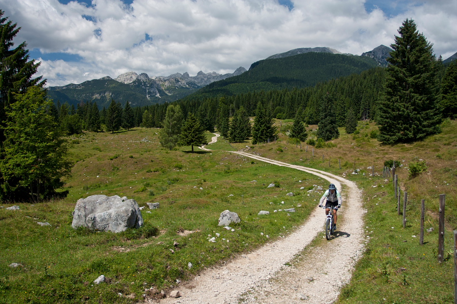 Praprotnica alpine meadow