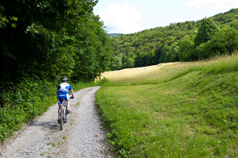 One of the few sections out of the forest