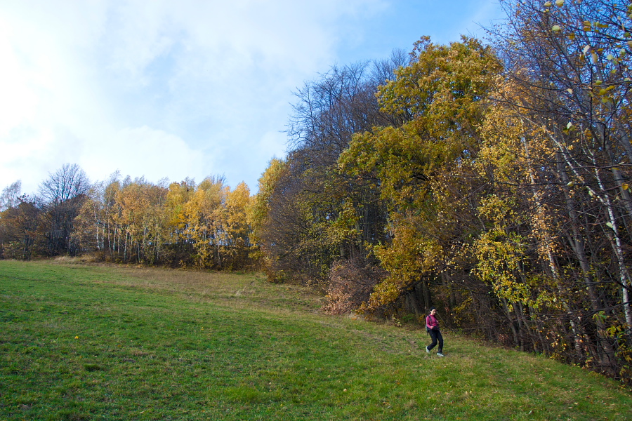 Descent to the forest from 