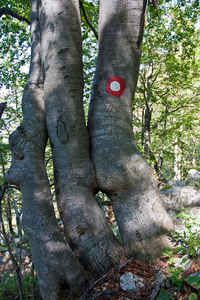 Črna prst - Utrinek