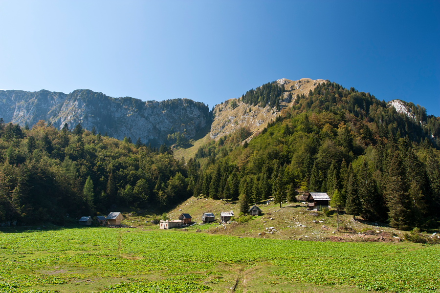 Planina za Črno goro pod Črno prstjo