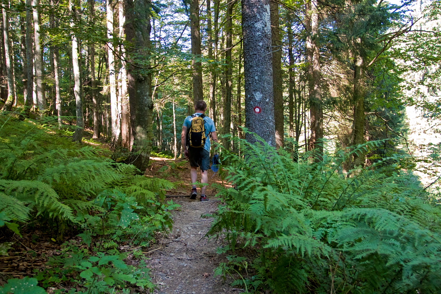 Črna prst - Med spustom