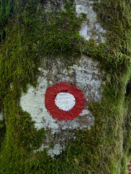 Črna prst - Utrinek