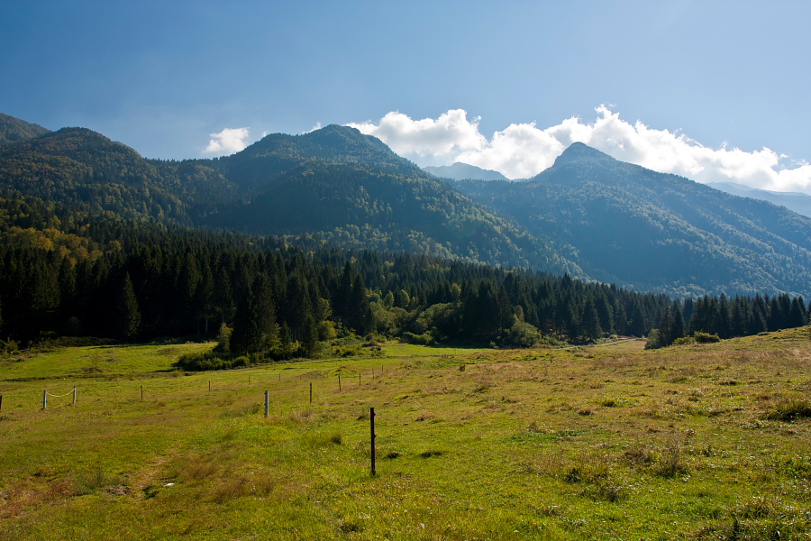 Črna prst - Na travnikih nad Bohinjsko Bistrico