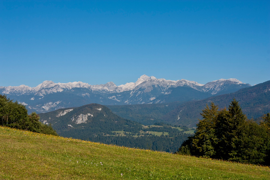 Pogled proti Triglavu