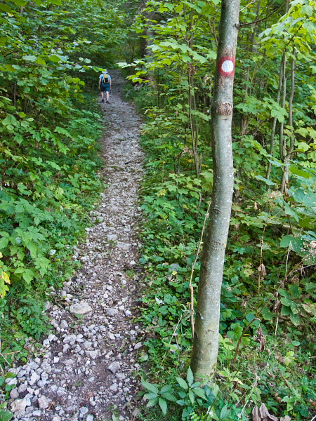 Črna prst - Na poti