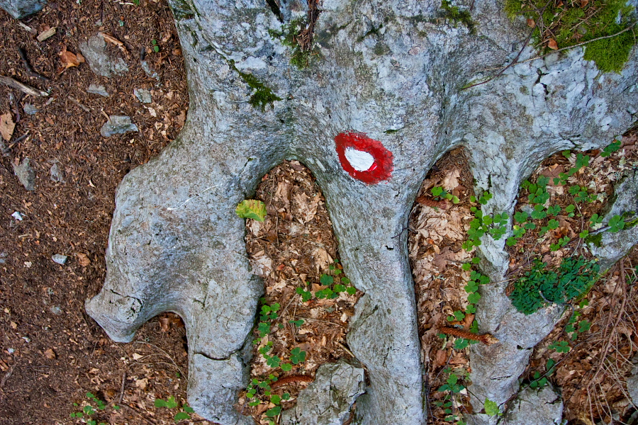 Črna prst - Na poti