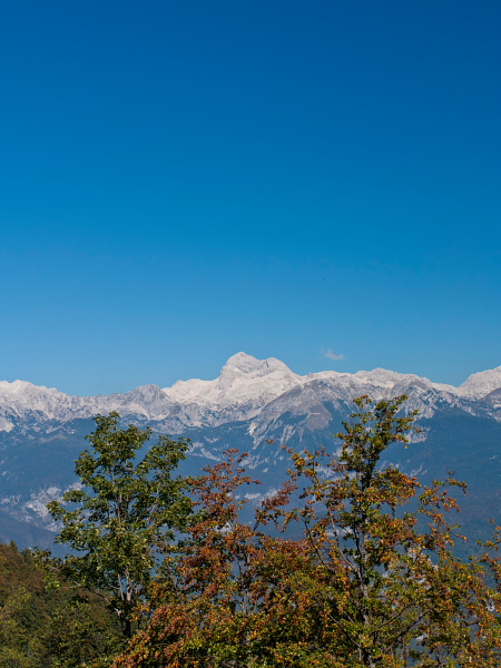 Na Planini za Liscem pod Črno prstjo