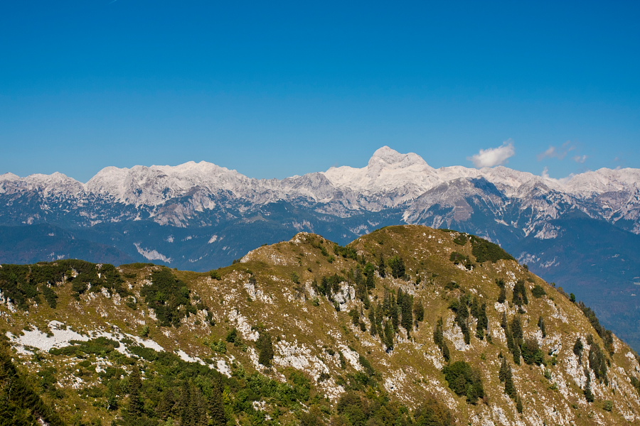 Črna prst - Pogled nazaj
