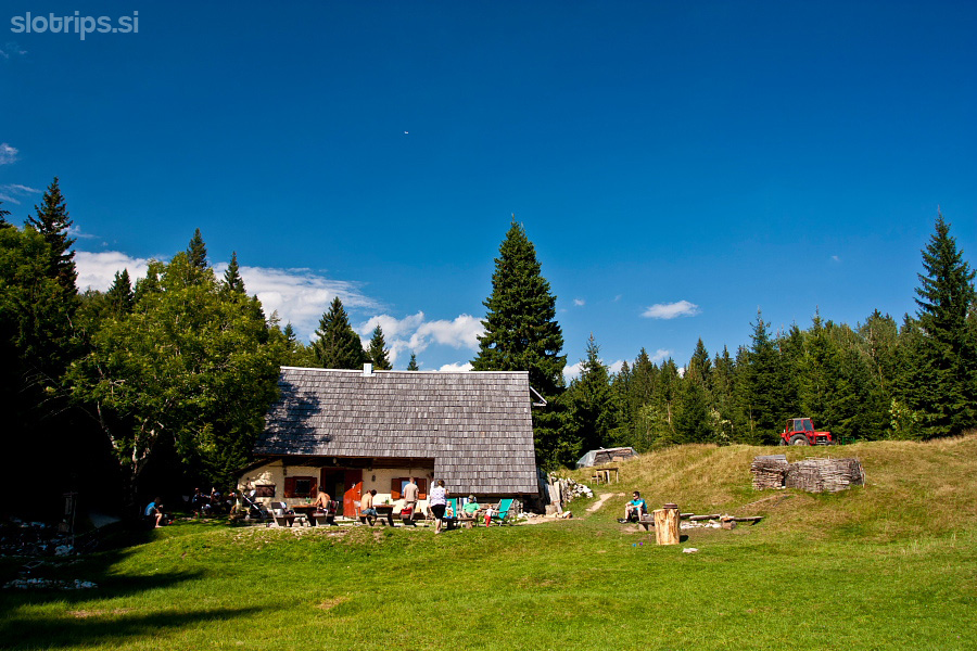 Dolenc homestead on Vogar meadow