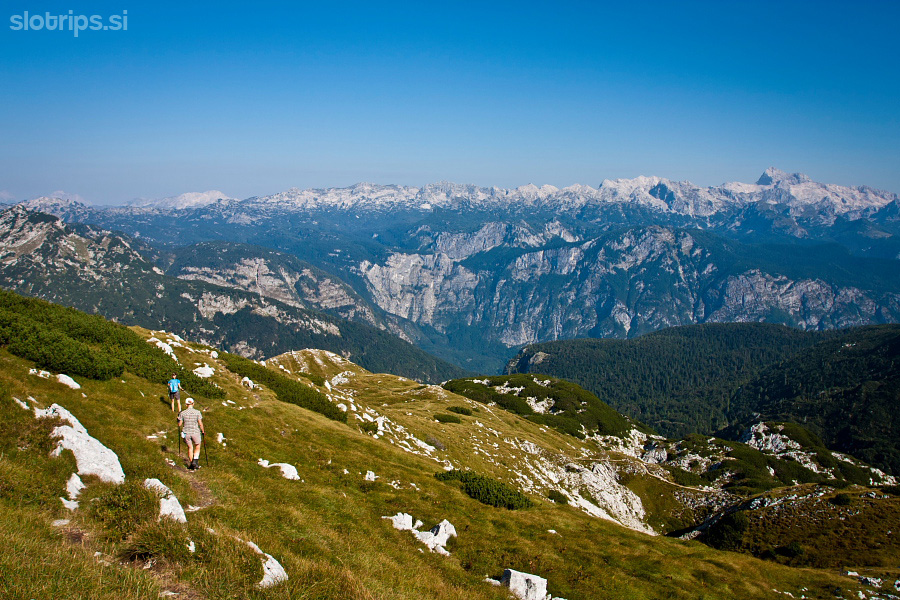 Vogel - Wonderful meadows and the view