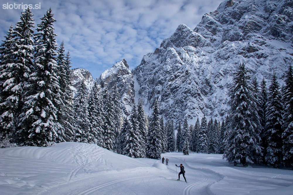 Cross-country skiing, from Planica to Tamar