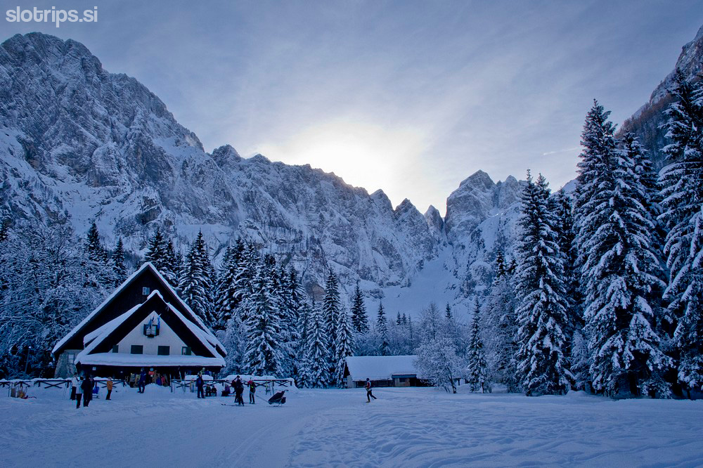 Cross-country skiing, from Planica to Tamar