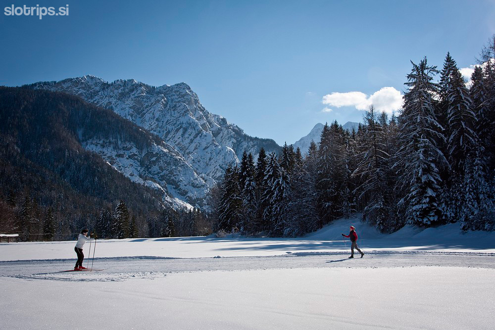 Cross-country skiing, Rateče