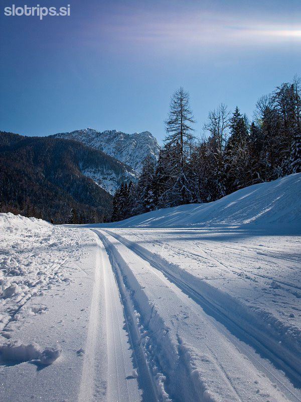 Cross-country skiing, Rateče