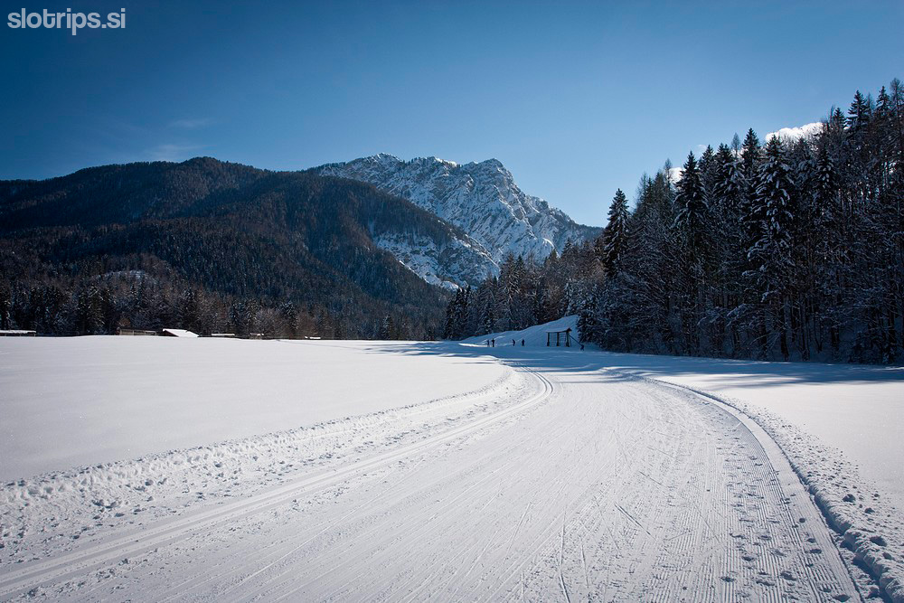 Cross-country skiing, Rateče