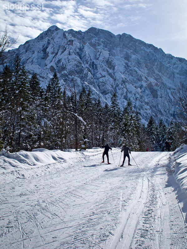 Cross-country skiing, from Planica to Tamar