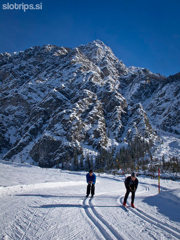 Cross-country skiing, from Planica to Tamar