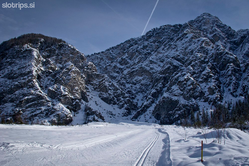 Cross-country skiing, from Planica to Tamar
