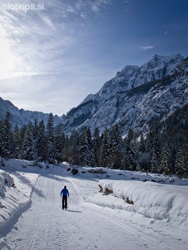 Cross-country skiing, from Planica to Tamar