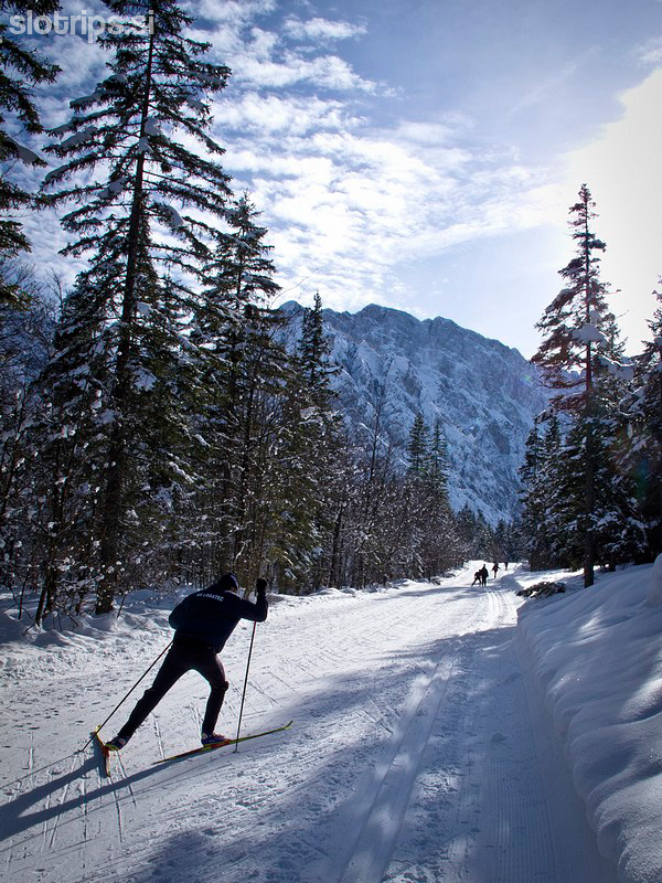 Cross-country skiing, from Planica to Tamar