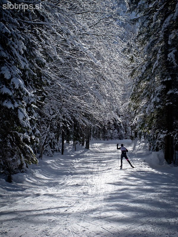 Cross-country skiing, from Planica to Tamar