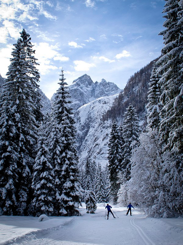 Cross-country skiing, from Planica to Tamar