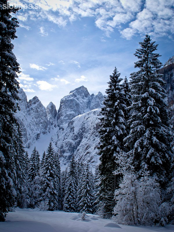 Cross-country skiing, from Planica to Tamar