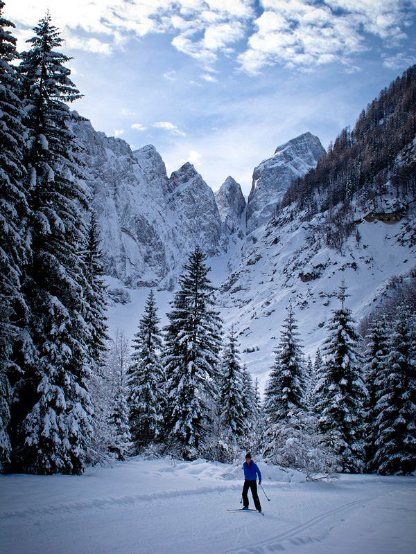 Cross-country skiing, from Planica to Tamar