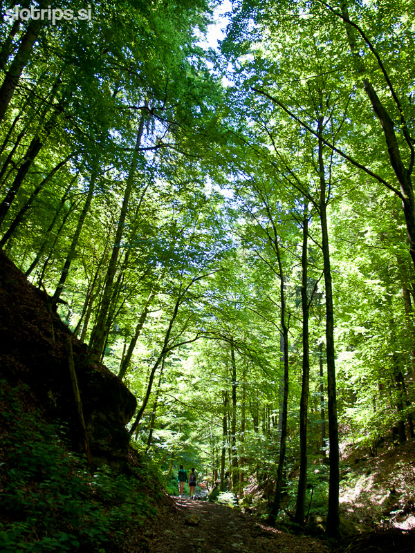 Pokljuška soteska