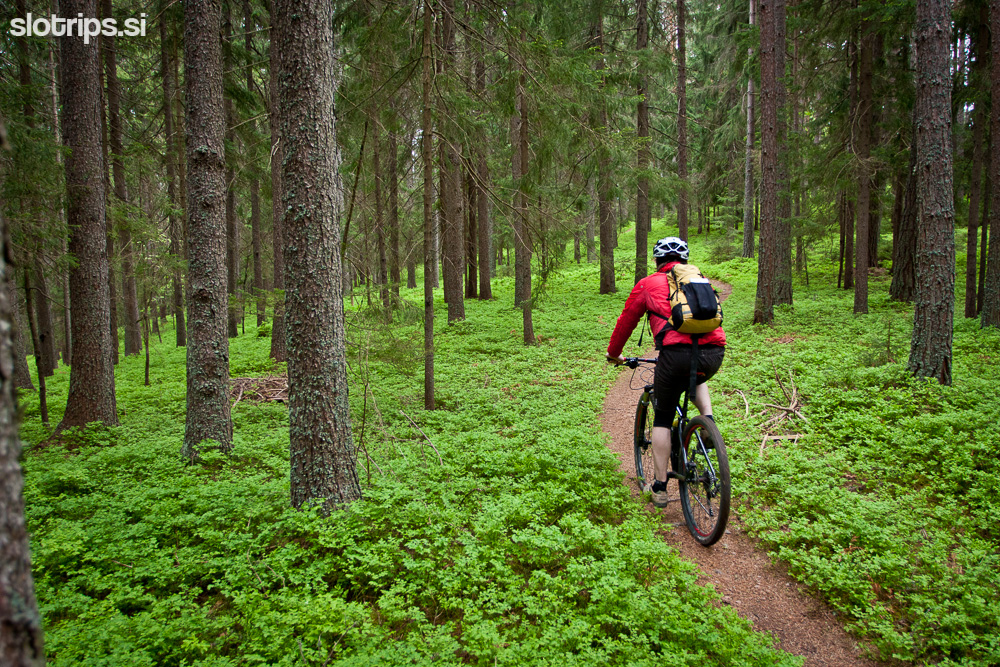Single trail park Jamnica, Slovenia