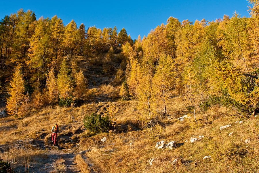 Beautiful fall colours above Pokljuka