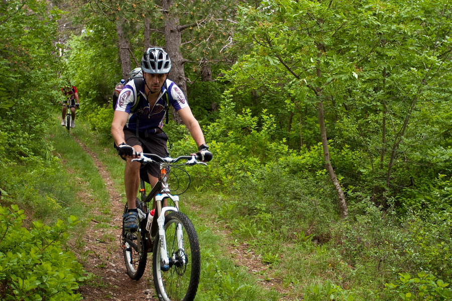 Cart road at the top of the Karst Edge