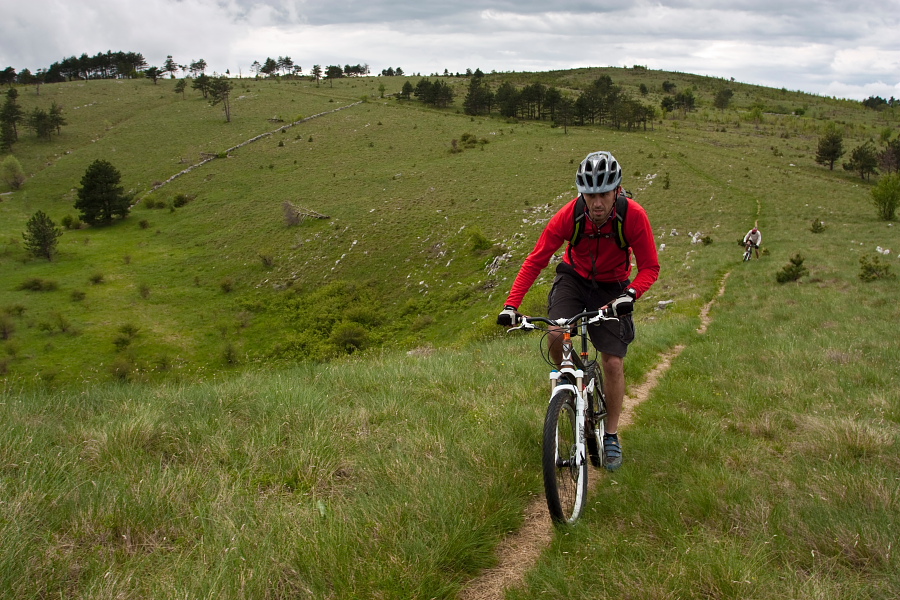 Deserted grassy cart road 
