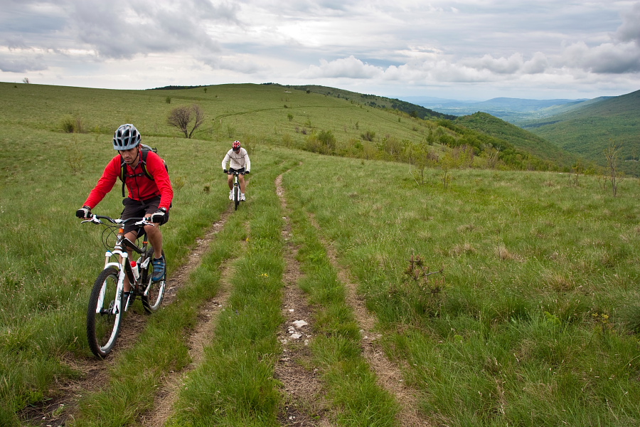 Ridge between Kojnik and Golič