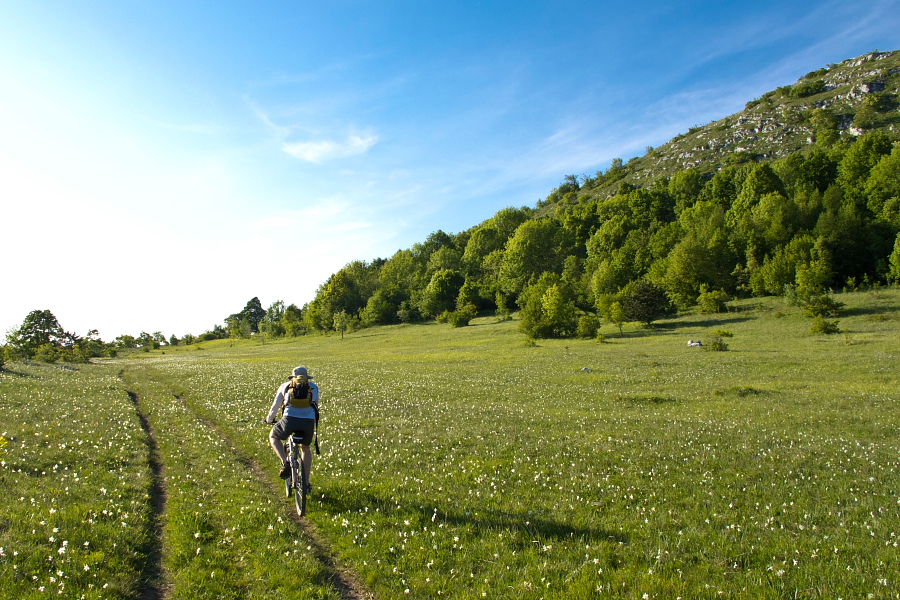 Below the Karst Edge towards Zazid village